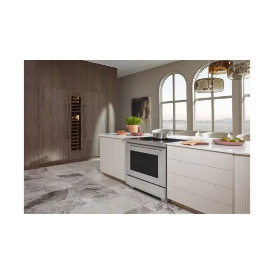 Cocina profesional: 5 Plan de Inducción de Zona + 1 Oven de Lobo Sub-Zero