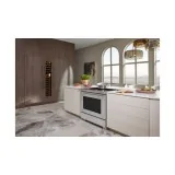 Cocina profesional: 5 Plan de Inducción de Zona + 1 Oven de Lobo Sub-Zero