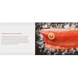 Вертикальный встроенный морозильник LG Signature SKSCF1811P: элегантный и полный функциональности