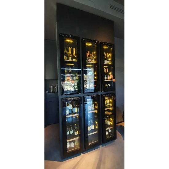 Modularer Weinkeller Youwine YWT3X6: elegantes und modernes Design, optimale Weinkonservierung