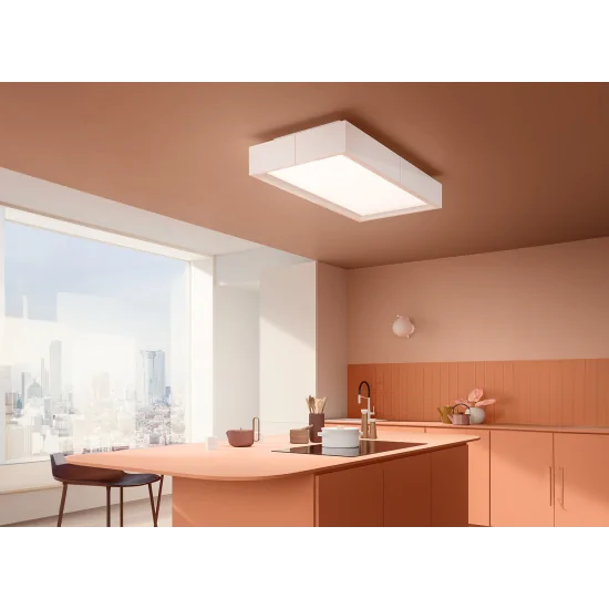 Falmec Vega Hotte îlot Plafond 115 cm | Conception minimale et efficacité maximale