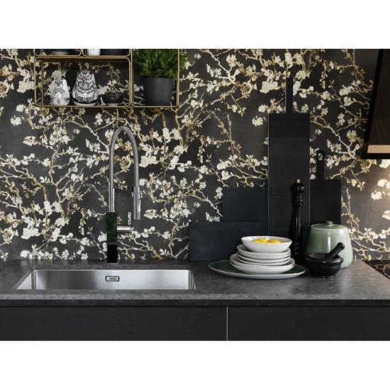 Add a touch of elegance to your kitchen with the Franke BXX 210-68/110-68 sink for 80 base without drainer.