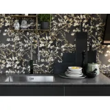 Aggiungi un tocco di eleganza alla tua cucina con il lavabo Franke BXX 210-68/110-68 per base da 80 senza gocciolatoio.