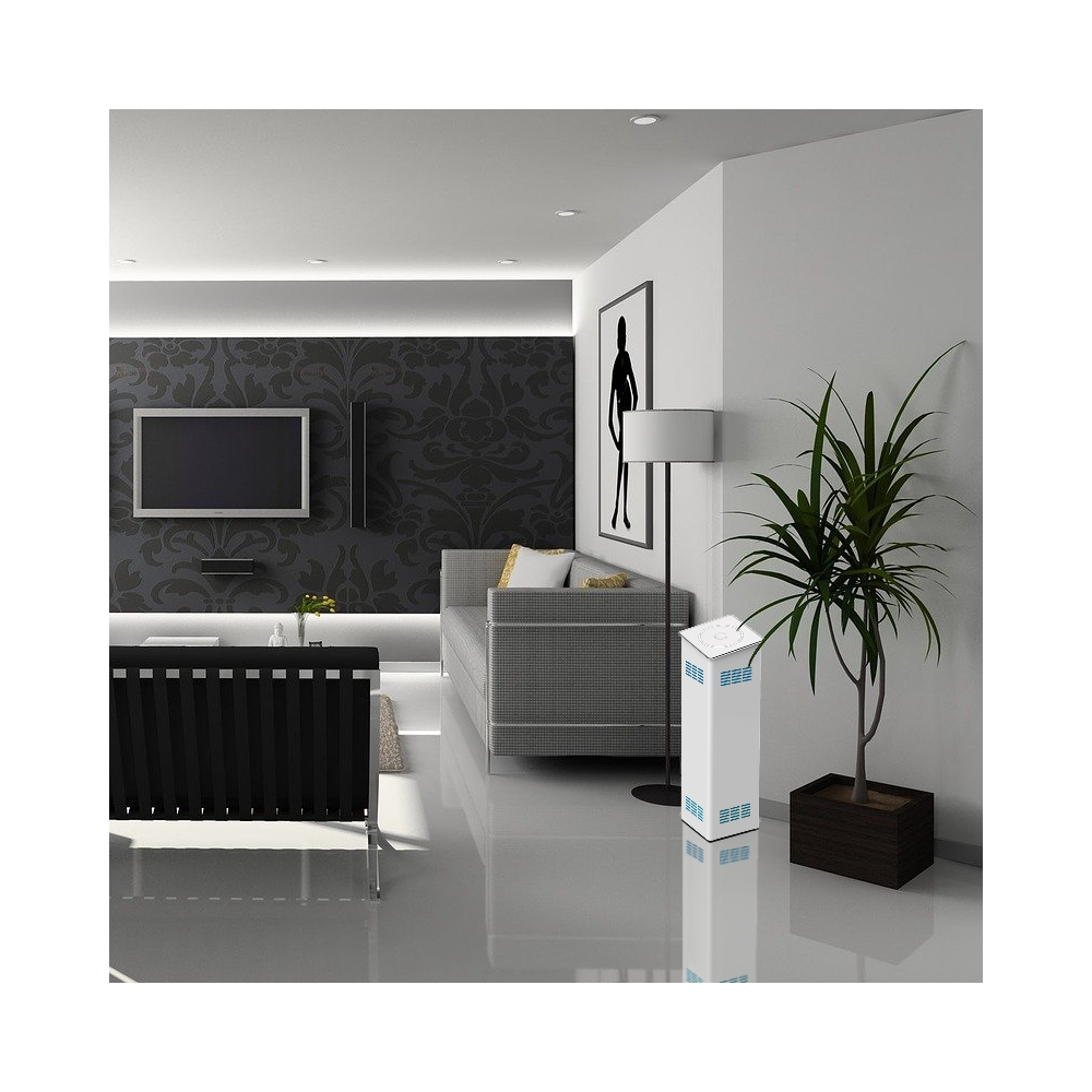 Baraldi Airo' Plus White : Purificateur d'air puissant et silencieux pour une maison saine