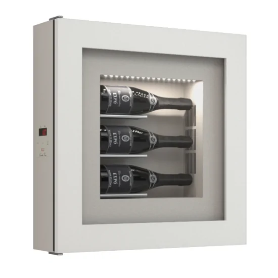 Quadro Vino n. 30: Espositore Refrigerato per Spumante