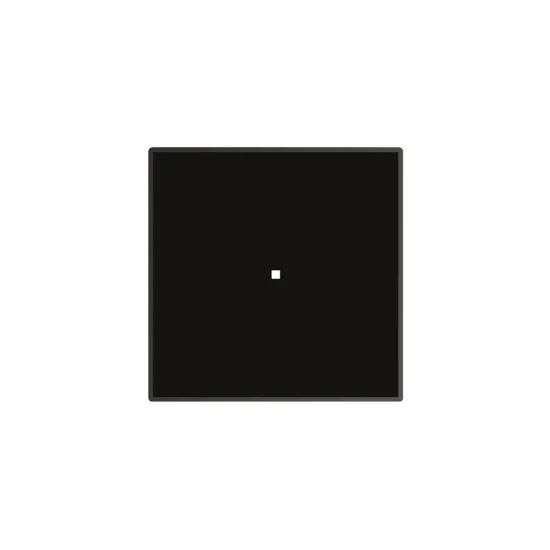 Foster 7365 300: Induktionszone 30cm, Schnellheizung, Modernes Design