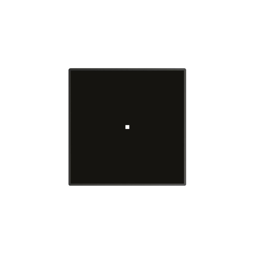 Foster 7365 300: Индукционная зона 30 см, быстрый нагрев, современный дизайн