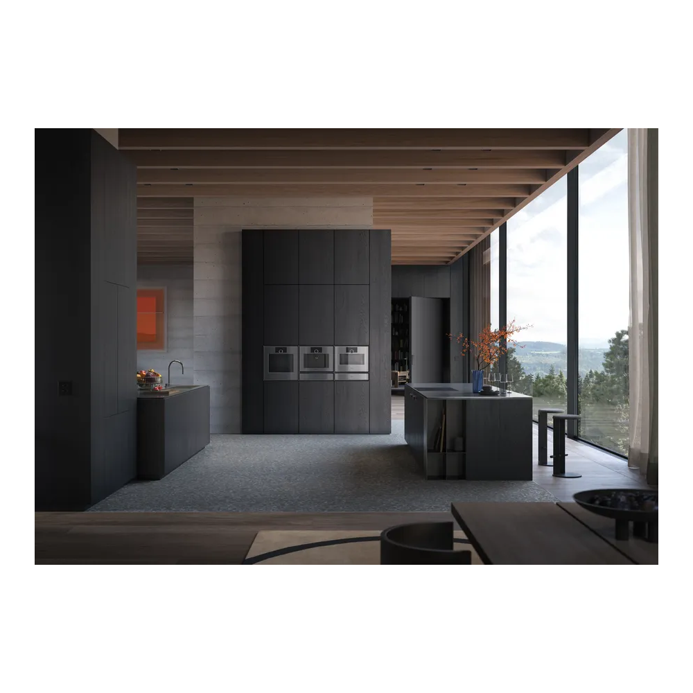 Gaggenau GS450120 一般事务人员(其他职等) Oven CombiVapore 60cm, 电子打开, 右兴格