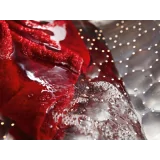 "Cestello a nido d'ape lavasciuga Miele WTD160WCS"