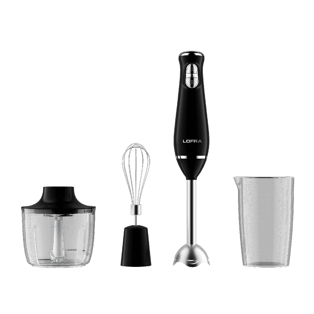 Lofra Ihbanm02e / 1 | 4 in 1 Minipimer mit 800 Watt hackt